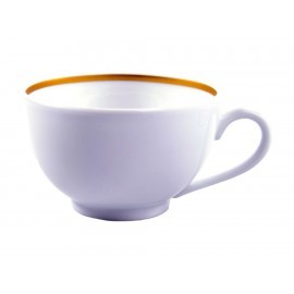 Bernardaud Taza de Té Cronos