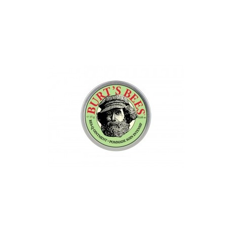 Burt's Bees Ungüento Res-Q 15 g
