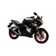 Italika Motocicleta RT250 250cc 2017