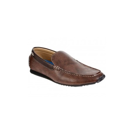 Zapato Steve Madden Driver Burke café