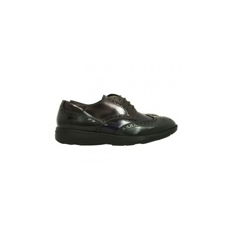 Fratelli Zapato con Agujeta Negro