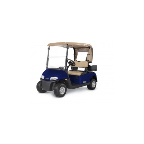 Ezgo Carro de Golf Rxv Freedom