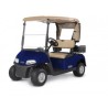 Ezgo Carro de Golf Rxv Freedom