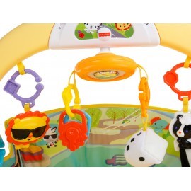 Gimnasio Fisher Price auto convertible 3 en 1