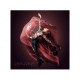 Brave Enough Lindsey Stirling CD