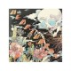 The Shins Heartworms CD
