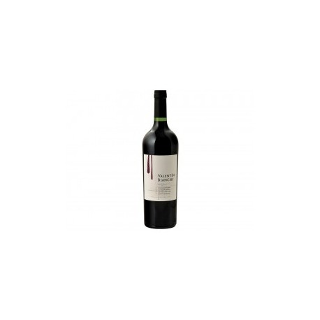 Vino Tinto Valentín Bianchi 2009 750 ml