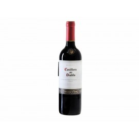 Vino Tinto Casillero del Diablo Cabernet...