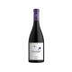 Vino Tinto Montes Star Angel Syrah 750 ml
