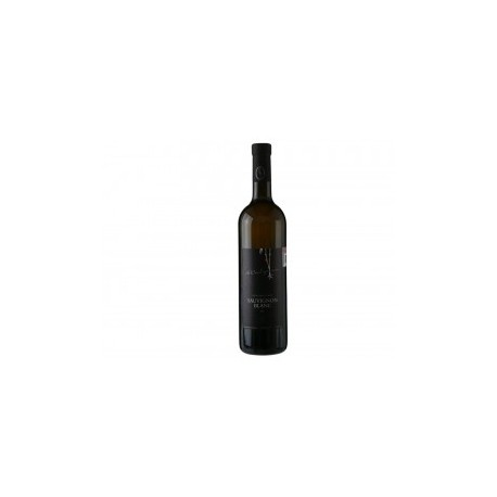 Vino Blanco Radgonske Gorice Sauvignon...