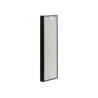 Rowenta Filtro AP Hepa XL