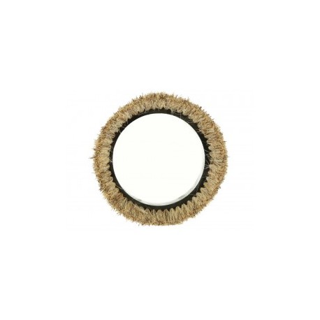 Cepillo para Pulidora Oreck